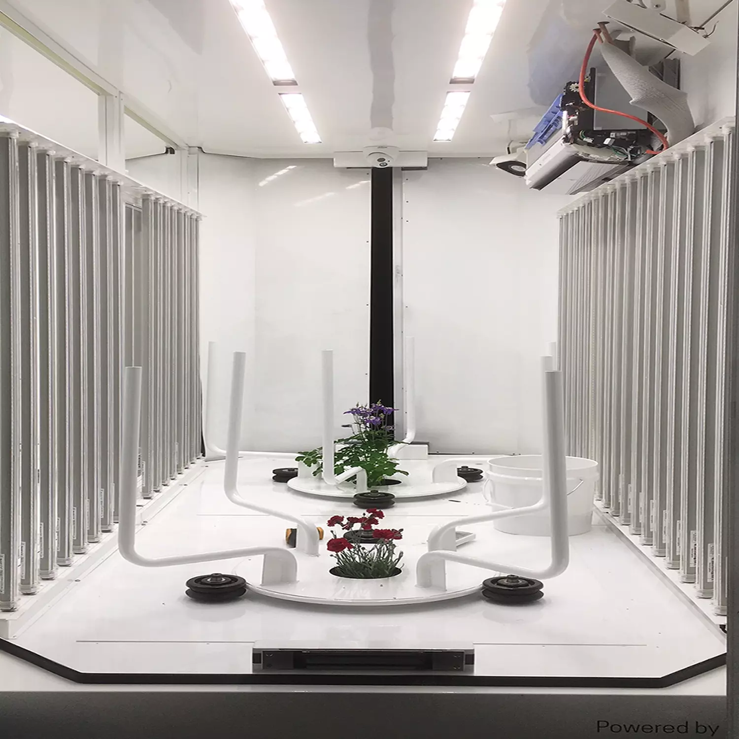IoT-Based Smart Green House